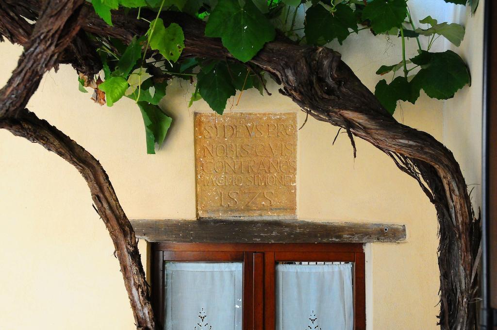 B&B Camere La Vite Pienza Zewnętrze zdjęcie
