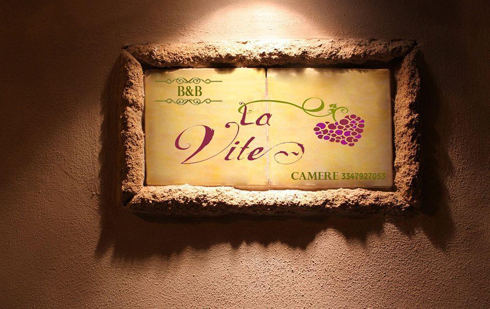 B&B Camere La Vite Pienza Zewnętrze zdjęcie